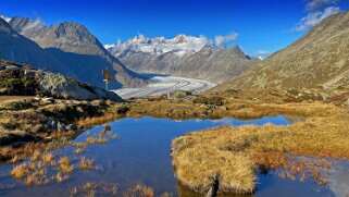 Glacier d'Aletsch Rando 2021