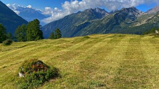 Lauchernalp - Lötschental Rando 2021