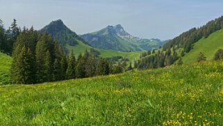 Dent de Lys 2014 m Rando 2021