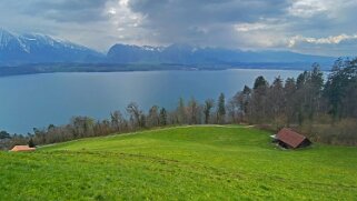 Lac de Thoune Rando 2021