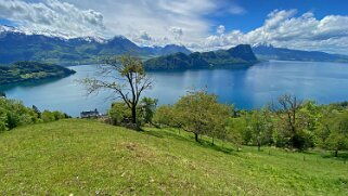 Lac des Quatre-Cantons Rando 2021