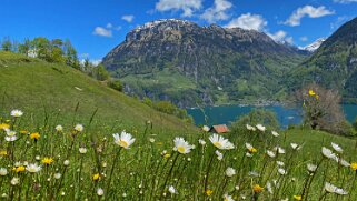 Lac des Quatre-Cantons Rando 2021