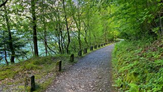 Lac des Quatre-Cantons