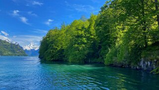 Lac des Quatre-Cantons Rando 2021