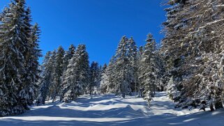 Le Chasseron Rando 2021