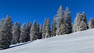 Le Chasseron Rando 2021