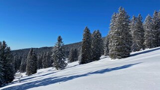 Le Chasseron Rando 2021