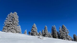 Le Chasseron Rando 2021