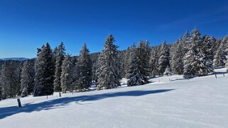 Le Chasseron Rando 2021