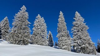 Le Chasseron Rando 2021