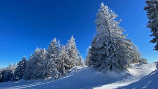 Le Chasseron Rando 2021