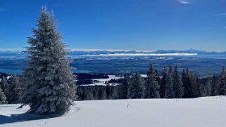 Le Chasseron Rando 2021