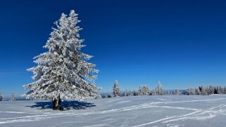 Le Chasseron Rando 2021