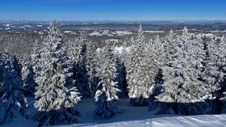 Le Chasseron Rando 2021