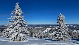 Le Chasseron Rando 2021