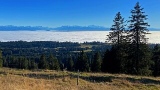 Les Cluds - Le Chasseron Rando 2021