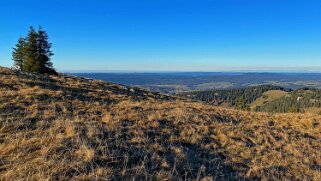 Les Cluds - Le Chasseron Rando 2021