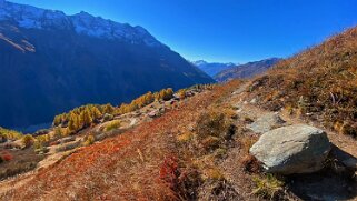 Fischbiel - Lötschental Rando 2021