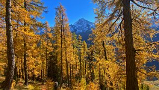 Lötschental Rando 2021