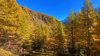 Lötschental Rando 2021