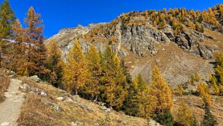 Lötschental Rando 2021