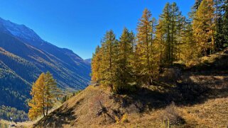 Lötschental Rando 2021