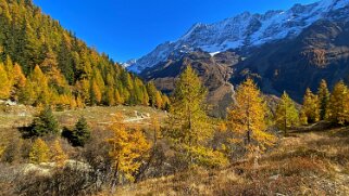 Lötschental Rando 2021