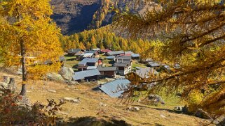 Fafleralp - Lötschental Rando 2021