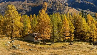 Fafleralp - Lötschental Rando 2021