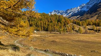 Lötschental Rando 2021