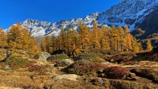 Lötschental Rando 2021