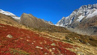 Lötschental Rando 2021