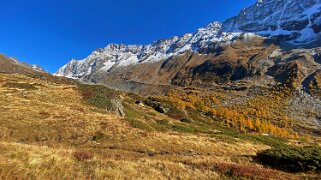 Lötschental Rando 2021