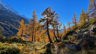 Lötschental Rando 2021