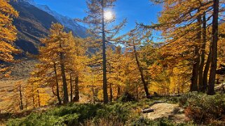 Lötschental Rando 2021