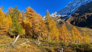 Lötschental Rando 2021