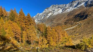 Lötschental Rando 2021