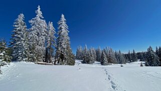 Col du Marchairuz - Grand Cunay Rando 2021