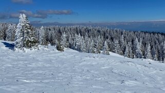 Col du Marchairuz - Grand Cunay Rando 2021