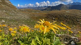 Val de Moiry Rando 2021