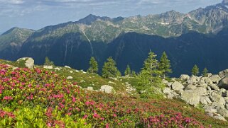 Montagne de Blaitière Rando 2021