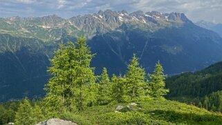 Montagne de Blaitière Rando 2021