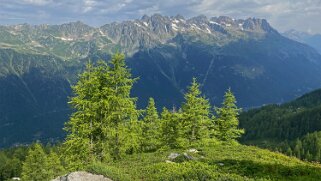 Montagne de Blaitière Rando 2021