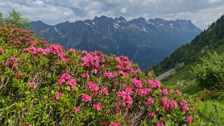 Montagne de Blaitière Rando 2021