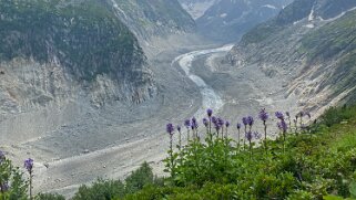 Mer de Glace - Le Montenvers Rando 2021