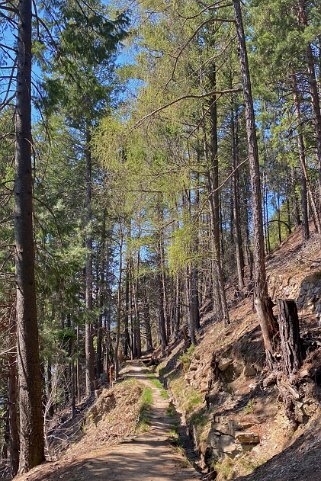 Rampe Sud Lötschberg Rando 2021