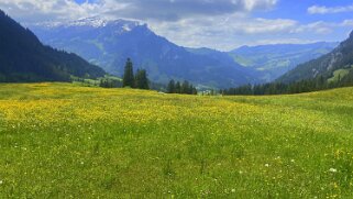 Schaftelenmoos - Biosphère de l'Entlebuch Rando 2021