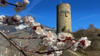 Tour de l'ancien Château de Saxon Rando 2021