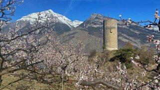 Tour de l'ancien Château de Saxon Rando 2021
