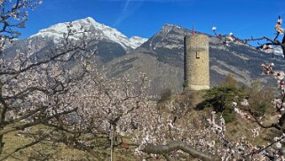 Tour de l'ancien Château de Saxon Rando 2021